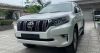 do-den-nguyen-bo-truoc-sau-prado-do-den-nguyen-cum-truoc-sau-toyota-prado - ảnh nhỏ 7