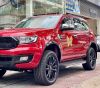 be-buoc-chan-oto-ford-everest-be-buoc-len-xuong-ford-everest-be-buoc-chan-oto-ford-everest-cao-cap - ảnh nhỏ 2